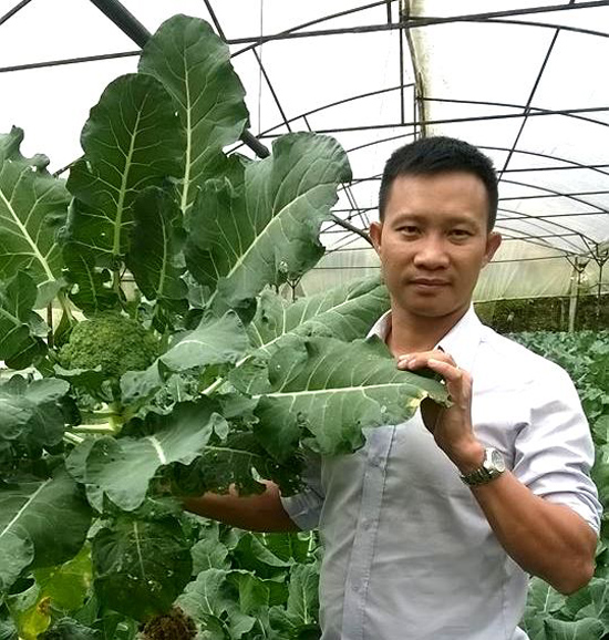  Nhiều trang trại sản xuất rau sạch ở Đà Lạt đã chủ động liên kết với anh Châu. Ảnh: P.V